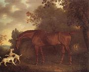 Clifton Tomson A Bay Hunter and Two Hounds in A Wooded Landscape oil painting